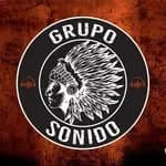 Espectáculo en vivo de la orquesta Grupo Sonido León